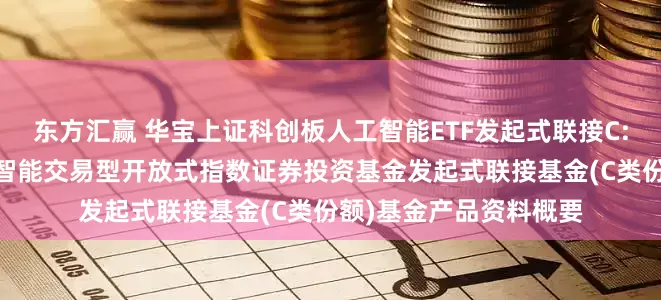 东方汇赢 华宝上证科创板人工智能ETF发起式联接C: 华宝上证科创板人工智能交易型开放式指数证券投资基金发起式联接基金(C类份额)基金产品资料概要