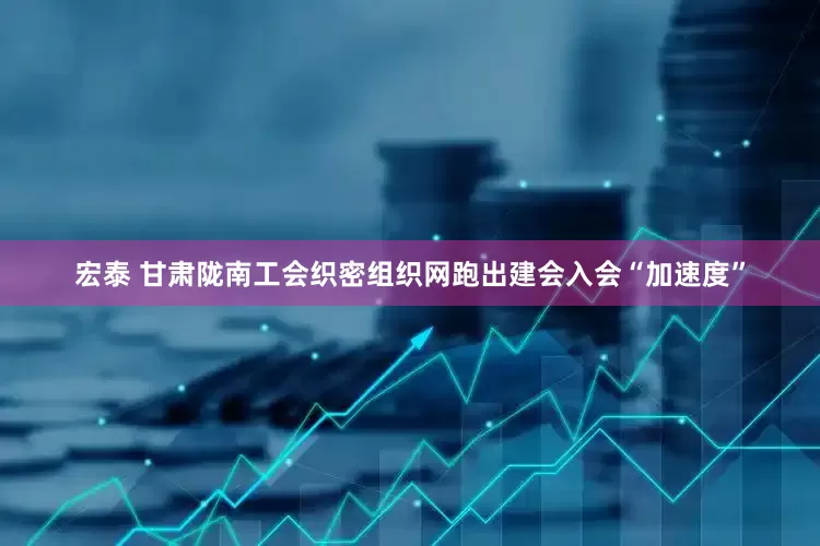 宏泰 甘肃陇南工会织密组织网跑出建会入会“加速度”