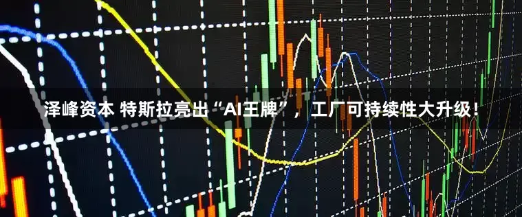 泽峰资本 特斯拉亮出“AI王牌”，工厂可持续性大升级！