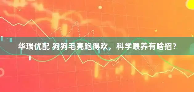 华瑞优配 狗狗毛亮跑得欢，科学喂养有啥招？