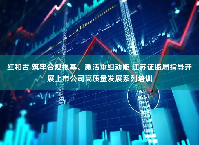 红和古 筑牢合规根基、激活重组动能 江苏证监局指导开展上市公司高质量发展系列培训