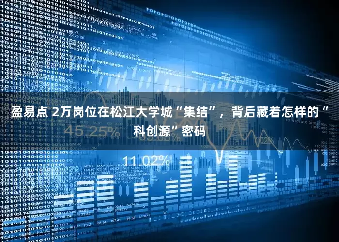 盈易点 2万岗位在松江大学城“集结”,背后藏着怎样的“科创源”密码