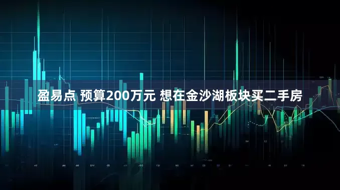 盈易点 预算200万元 想在金沙湖板块买二手房
