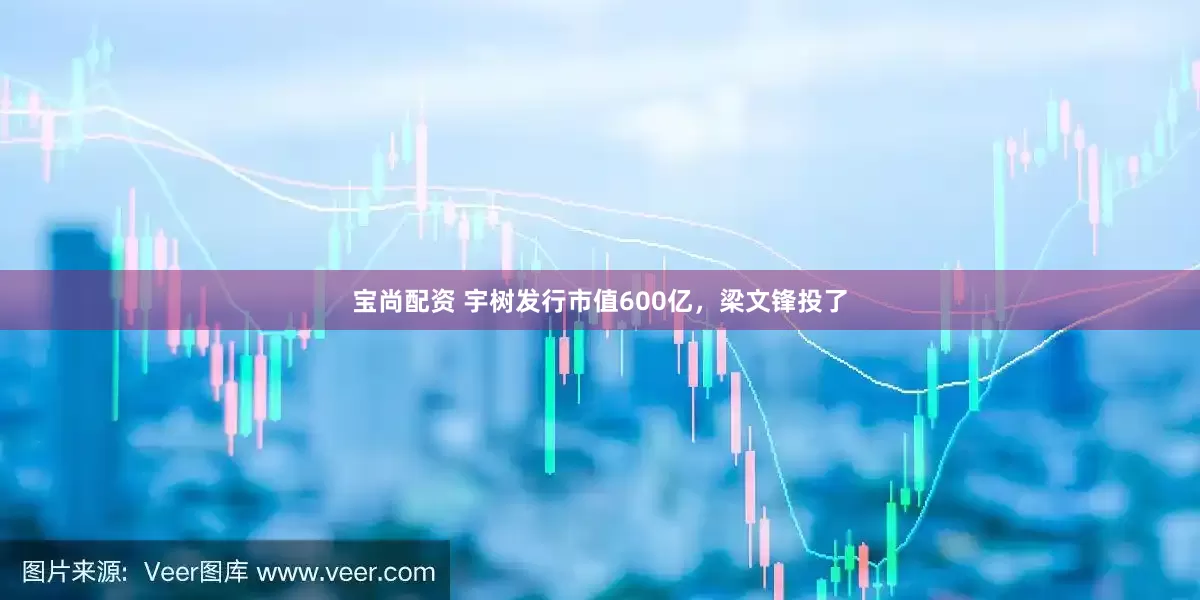 宝尚配资 宇树发行市值600亿，梁文锋投了